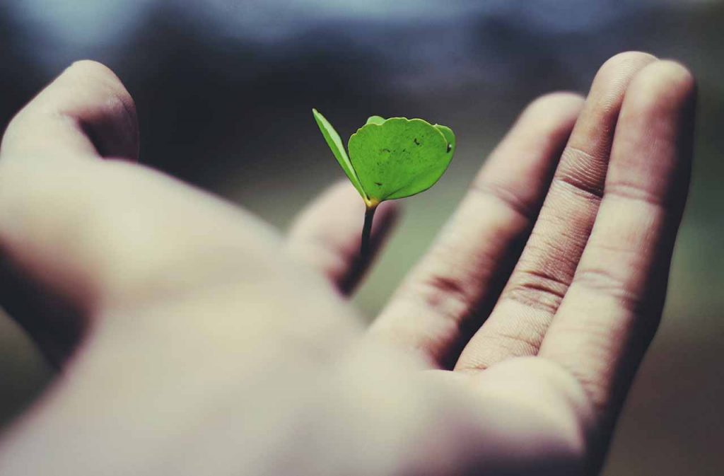 Brave to Love Adopt A Life Project Website Image